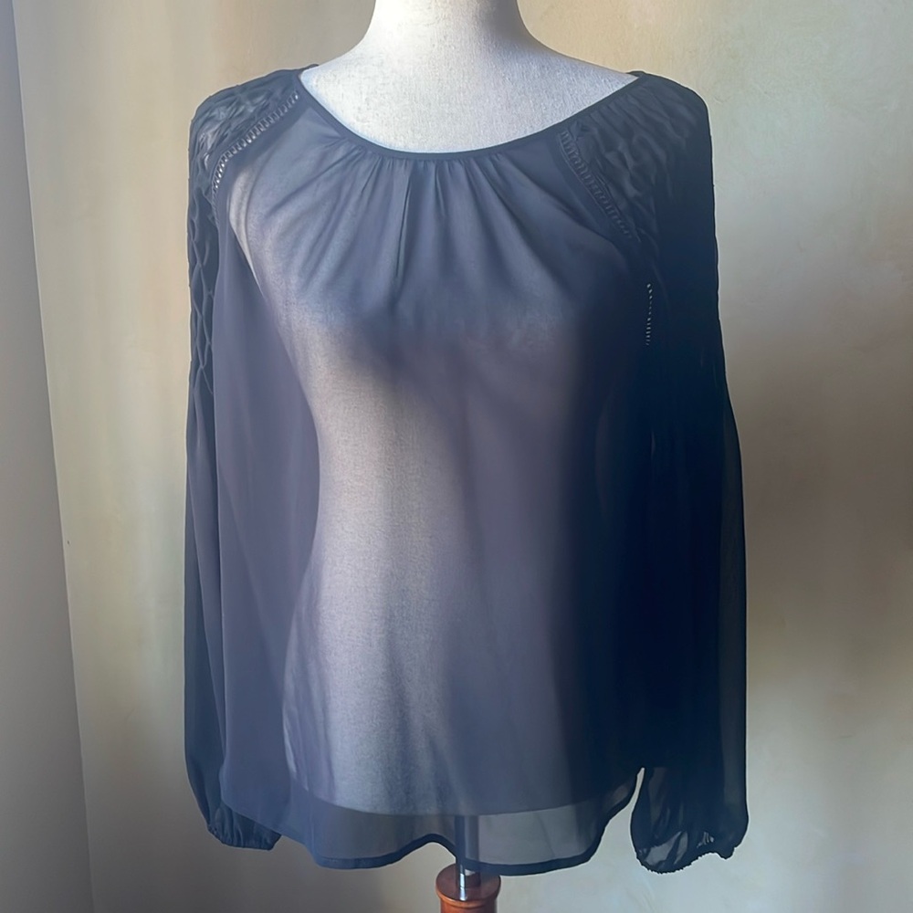 Sheer Black Express Blouse